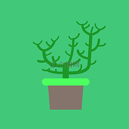廠,室內(nèi)植物,審美