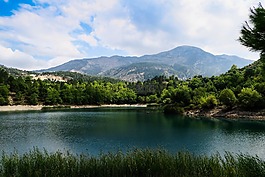 山,樹,草