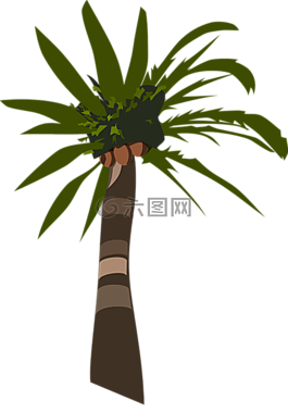 棕櫚,樹,植物