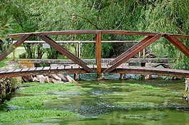 橋,河,水