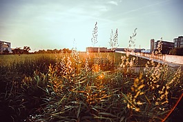 天空,日出,陽(yáng)光
