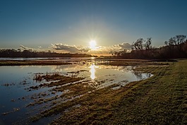 易北河,高水,晚上