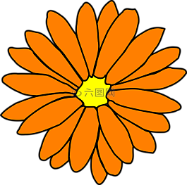 花,開花,花瓣