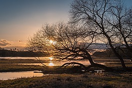 易北河,高水,晚上