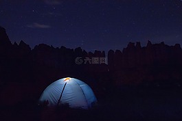 黑暗,夜,樹