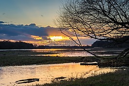 易北河,高水,晚上