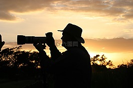 野生動物攝影師,日落,側(cè)影