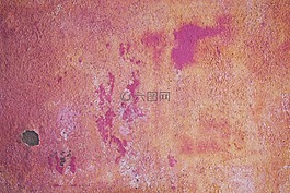 墻,hauswand,基金