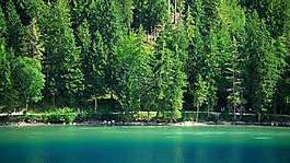 树木,湖,高山湖