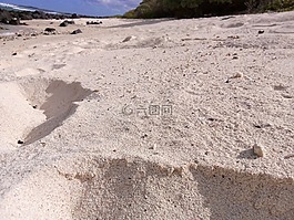 沙,海灘,沙海灘
