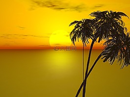 日落,太陽,自然