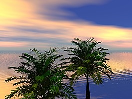 海,海洋,水