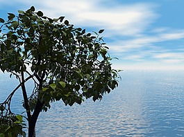 海,海洋,水