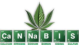 大麻,雜草,破壞