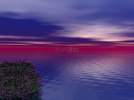 日落,海,海洋