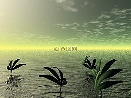 海,海洋,水