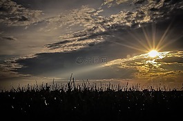 日落,天空,自然