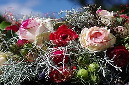 花商,花圈,束鲜花