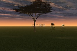 晚上,夜,傍晚的天空