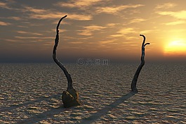 夜,晚上,沙漠