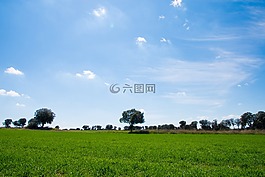 天空,綠色,藍(lán)色