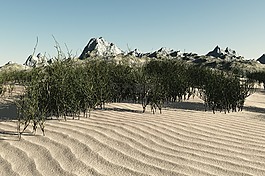海灘,沙,海洋