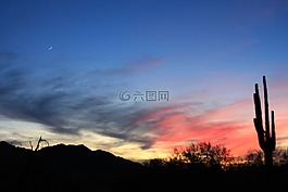 日落,側影,沙漠
