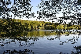 schlachtensee,湖,水域