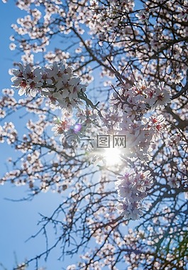 徒步旅行,自然,西班牙