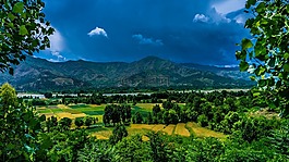景觀,自然,原野