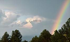 彩虹,树,彩虹天空