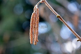 性質(zhì),廠,關(guān)閉