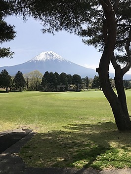 木材,草,景觀(guān)