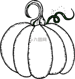 南瓜,萬圣節(jié),雕刻