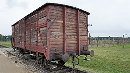 奧斯威辛集中營,火車,運輸