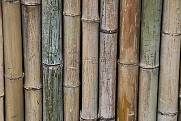 竹,籬笆,墻
