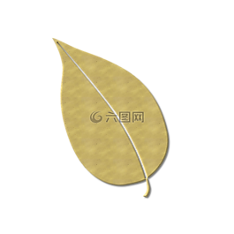 葉子,秋天的落葉,性質(zhì)