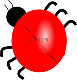 瓢蟲(chóng),甲蟲(chóng),昆蟲(chóng)