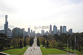 城市,天際線,大道