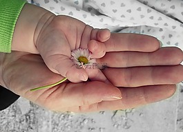 手,愛,永恒