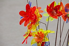 装饰,鲜花,gartendeko