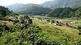 自然,印度,叢林