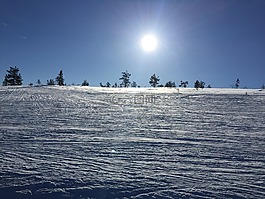 冬天,滑雪,雪