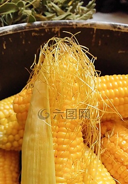 玉米,榛子,食品