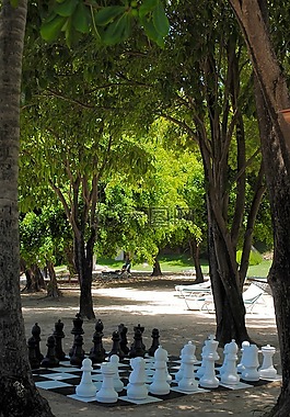 棋,游戲,海灘
