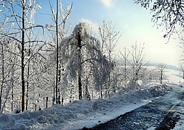 冬天,雪,冬季魔術(shù)