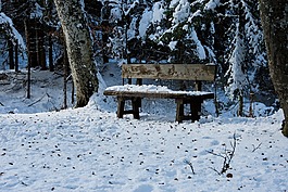 雪,景觀,morgenstimmung