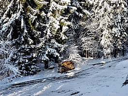 holzstabel,冬天,雪