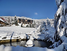 tannenhof,冬天,池塘