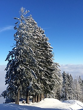 冬天,山,steibis